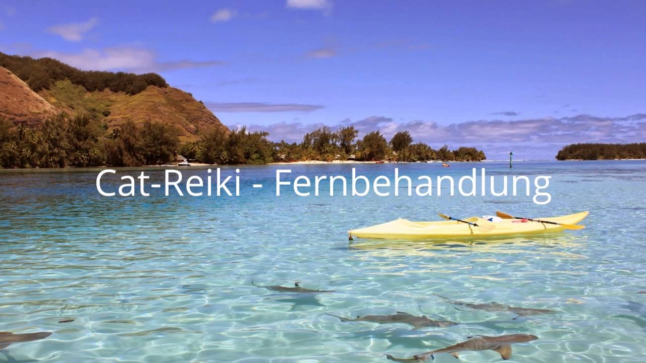 Cat- Reiki - Fernbehandlung