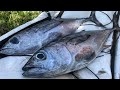 CATCH & COOK: Blackfin Tuna (Sashimi)