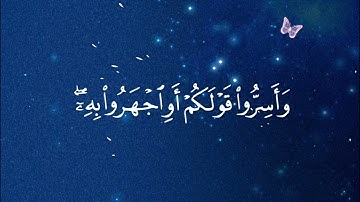 "سورة الملك". #قران_كريم #قرآن #اكسبلور #ترند #duet #islam #islamic