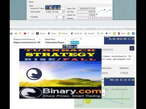 TURNBACK Strategy RISE ⚡ FALL Binary.com