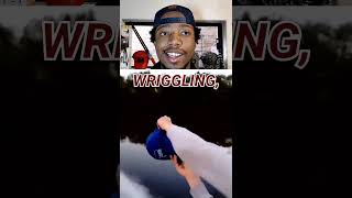 Lakes Are Mosquito Paradise