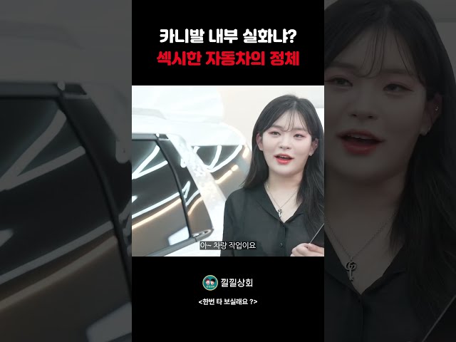 카니발 내부 실화냐 섹시한 자동차의 정체