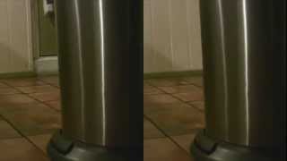 Famous Object Removal Preview Net Worth
