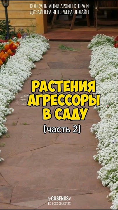 Ч2. РАСТЕНИЯ-АГРЕССОРЫ В САДУ. Самые опасные красивые растения. #сад # ...