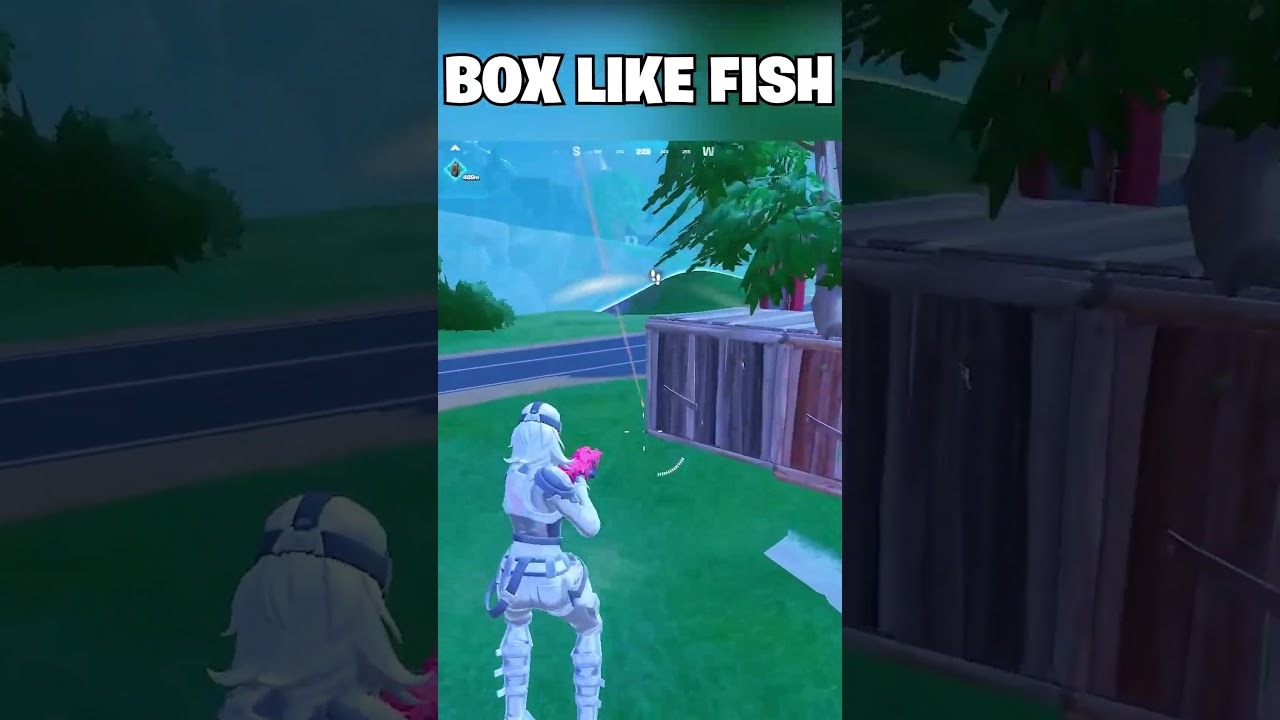 Box Like Fish 