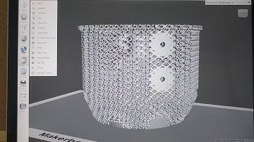 Lattice work on SLM part