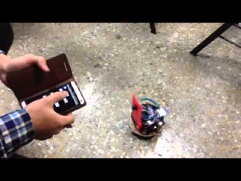 [輔英資科學程專題]Camera成品測試