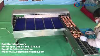 Automatic Egg Quality Sorting Machine