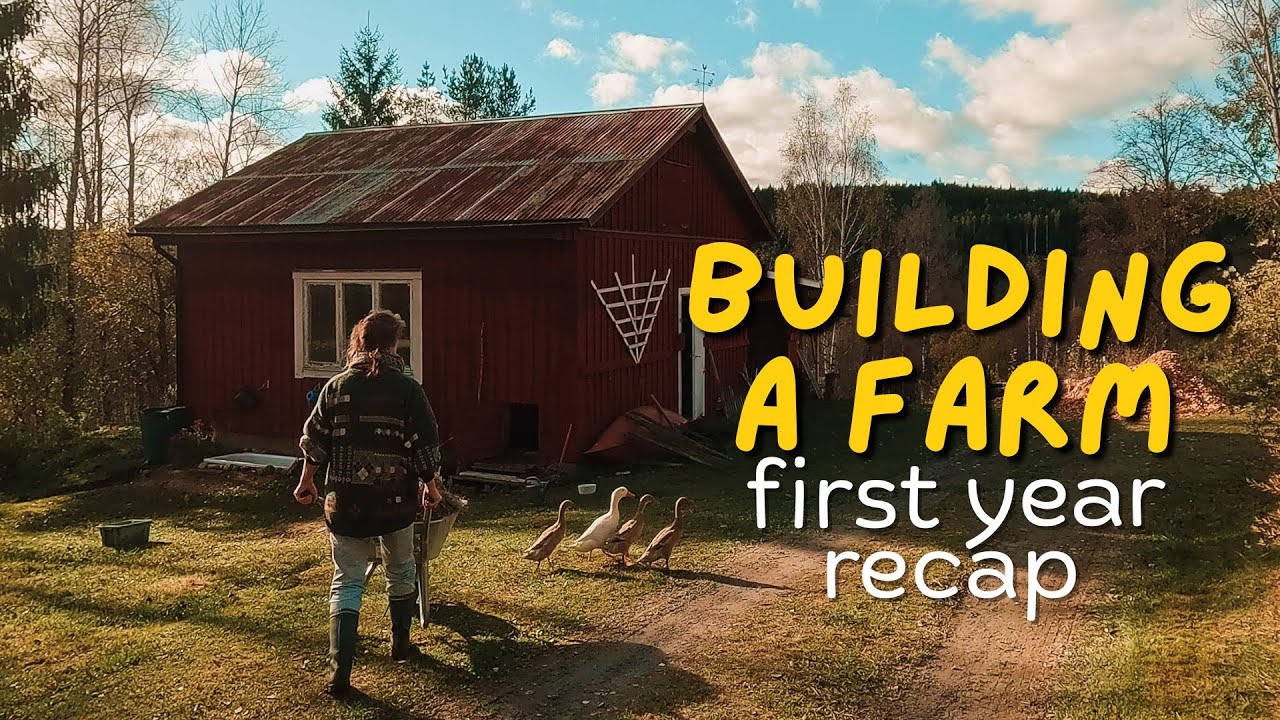 Итоги года | От переезда до открытия бизнеса #52