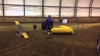 Wheelchair Agility Training with Hanna  Banana