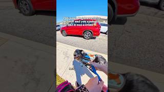 That one sniff you replay in ur head all day😅 #dog #dogs #funny #dogtraining #dogshorts #funnydog