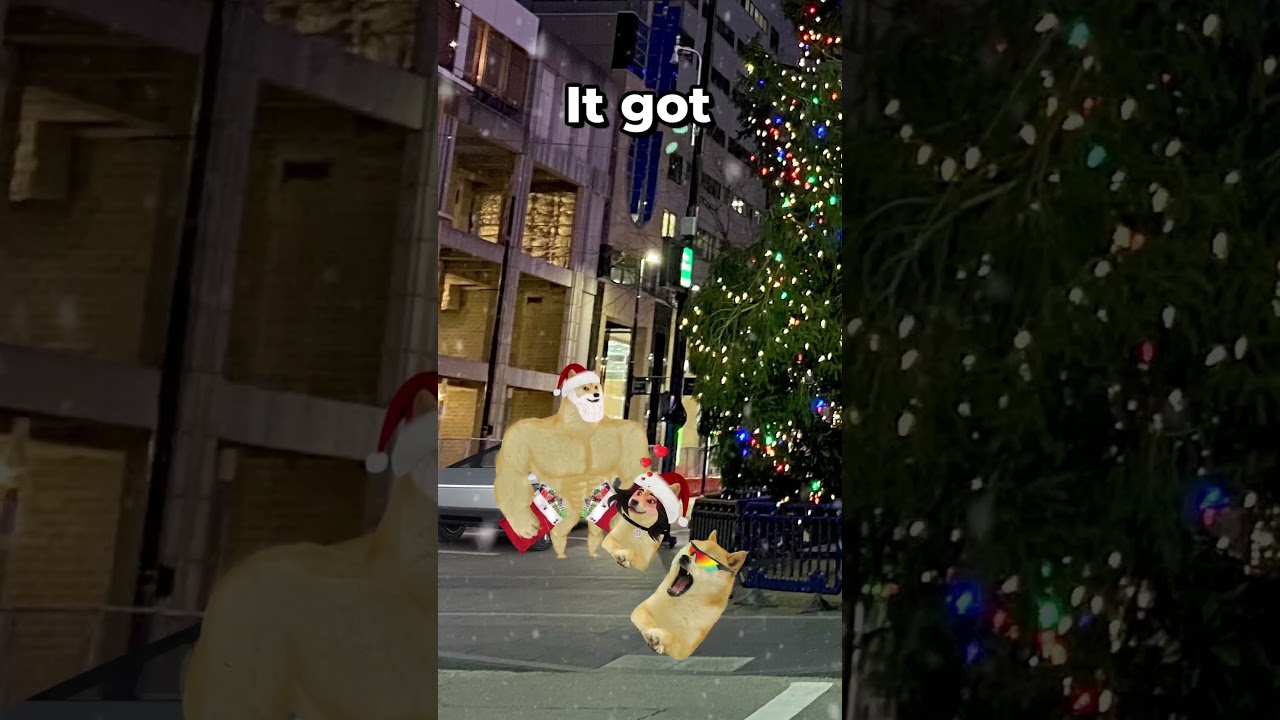Last Rizzmas I gave you my gyatt Doge Edit