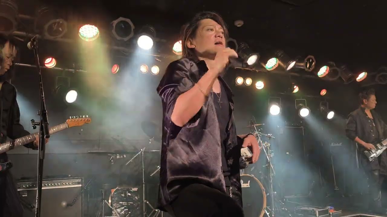 THE FOOLS LIVE 「わけなんかないさ」「MR.FREEDOM」ザ・フールズ【4K