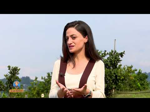 მე ვარ ფერმერი-ერთი წლის საქმიანობის ანგარიში