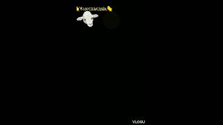 Wesoych wit Wielkanocnych