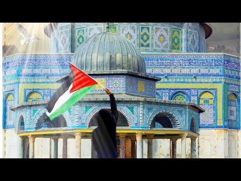 ميس شلش ما نسينا