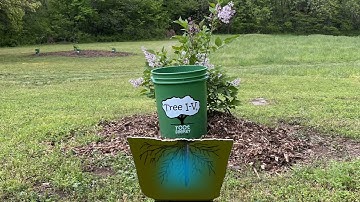 Tree I-V Root Seeker Watering System for New Trees and Plants
