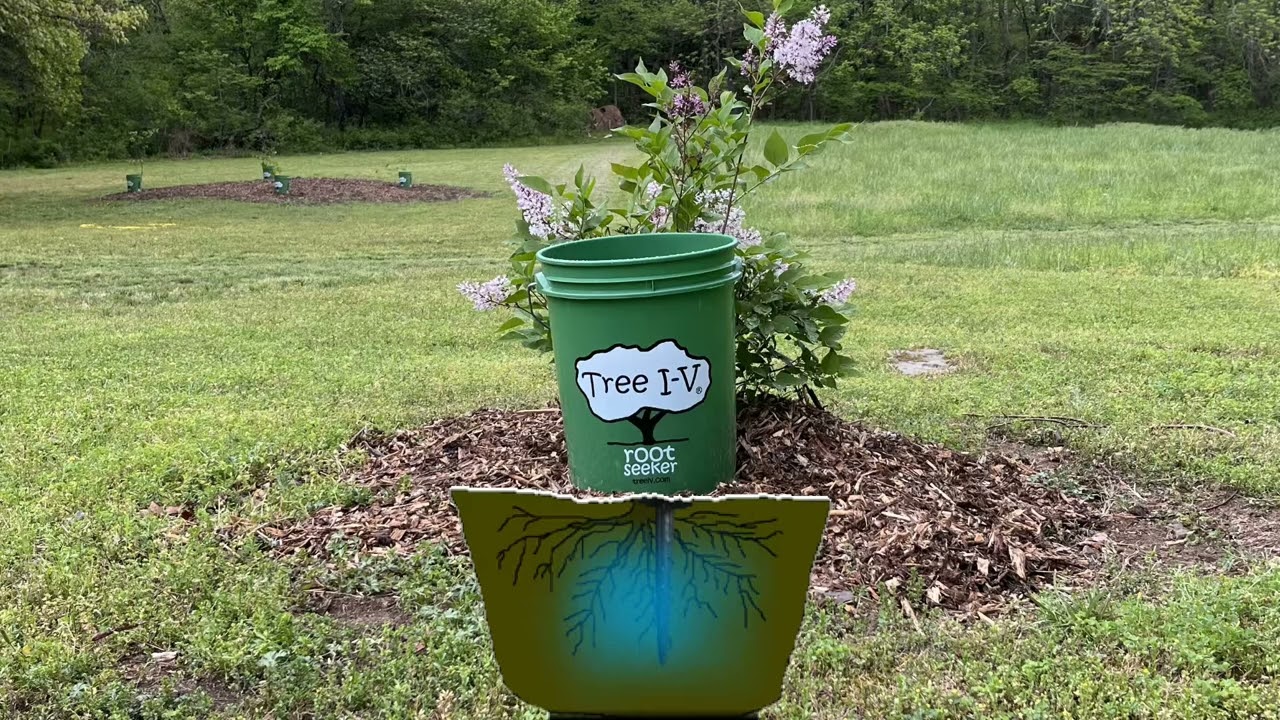 Tree I-V Root Seeker Watering System for New Trees and Plants