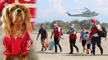 2020 — a year like no other. Side by side we remain, stronger together ❤️