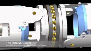 i-Snake® modular articulated design