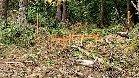 Windermere Real Estate/Whatcom, Inc. - 0 Star St 25