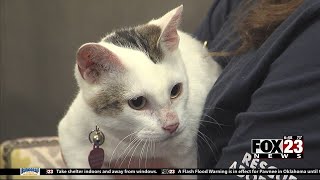Adopt A Survivor: Meet Izzy