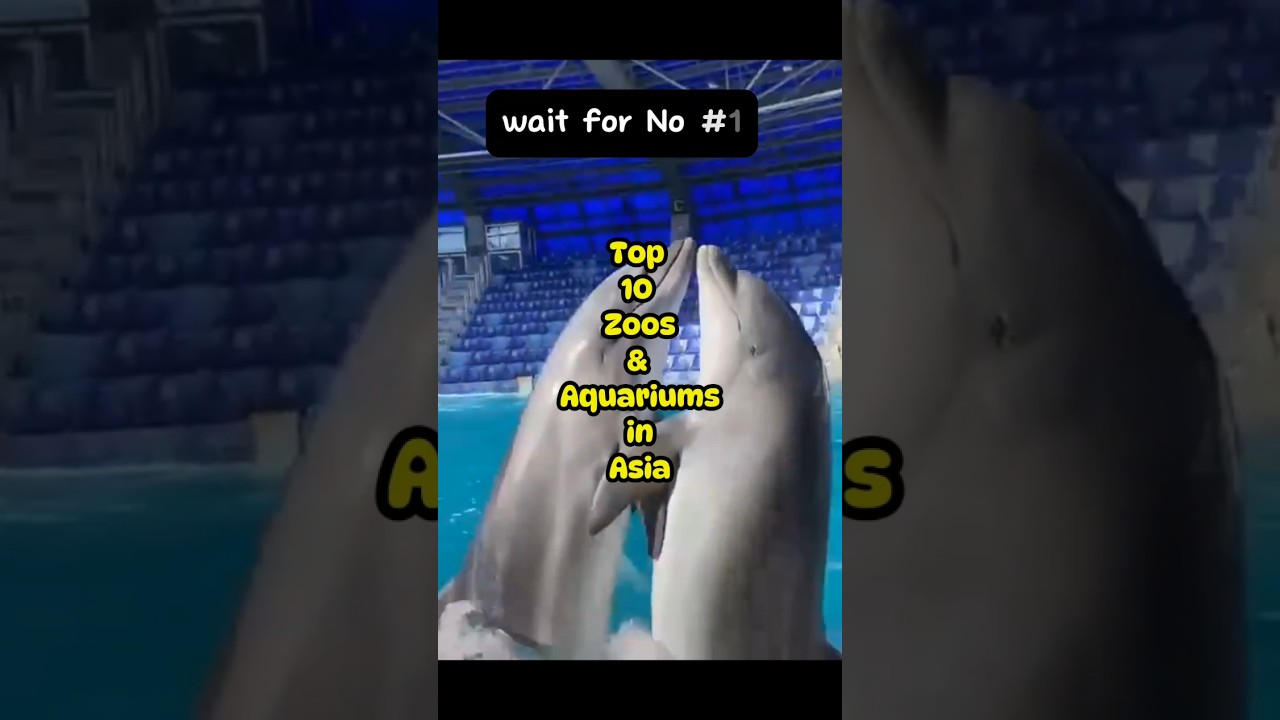 Top10 zoos & aquariums in Asia