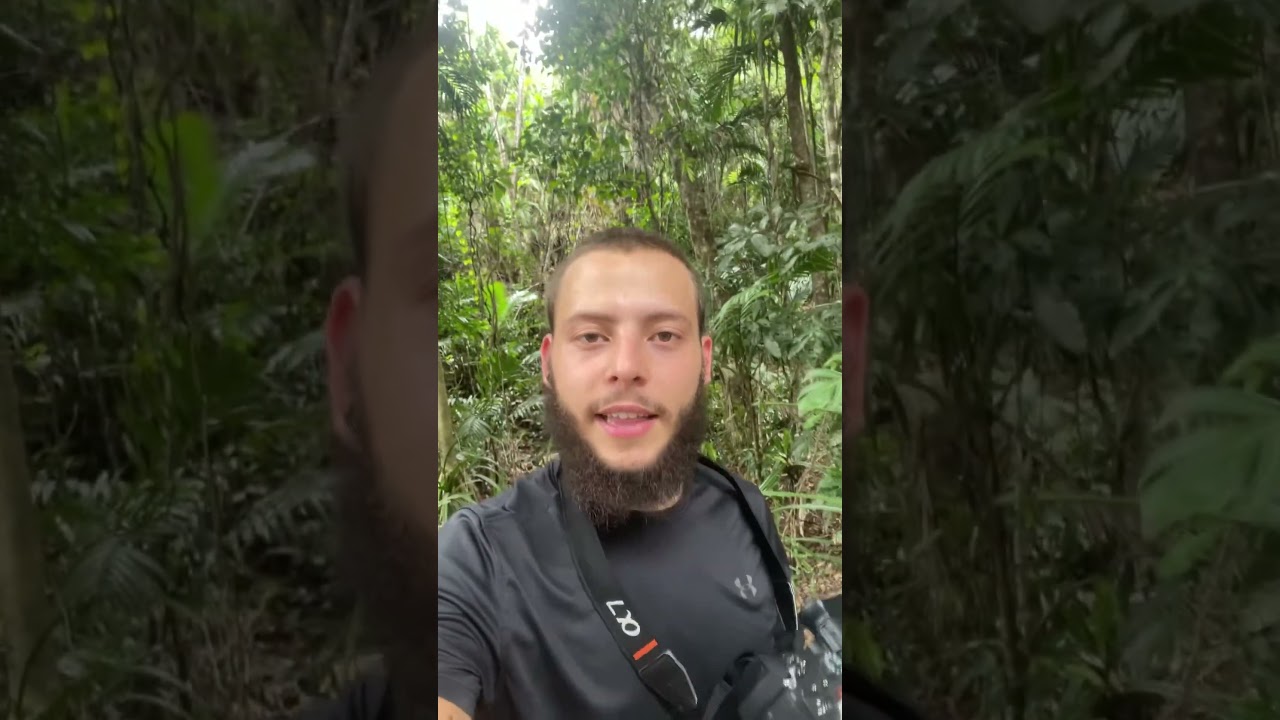 Stop feeding cassowary’s! 