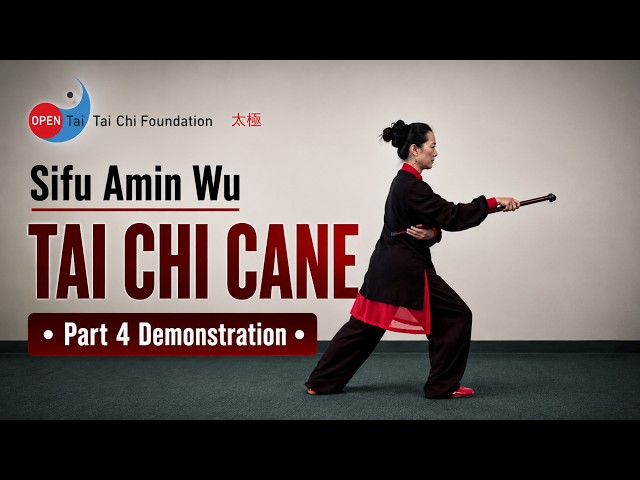 Tai Chi Cane • Part 4 Demonstration ｜ 太極杖 第四段 正面示範&背向