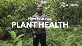 A Simple Test to Determine Plant Health: Soil Health Tests for Agroforestry Producers
