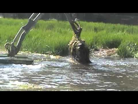 Hydroraking Allied Biological: Hydroraking Emergents - YouTube