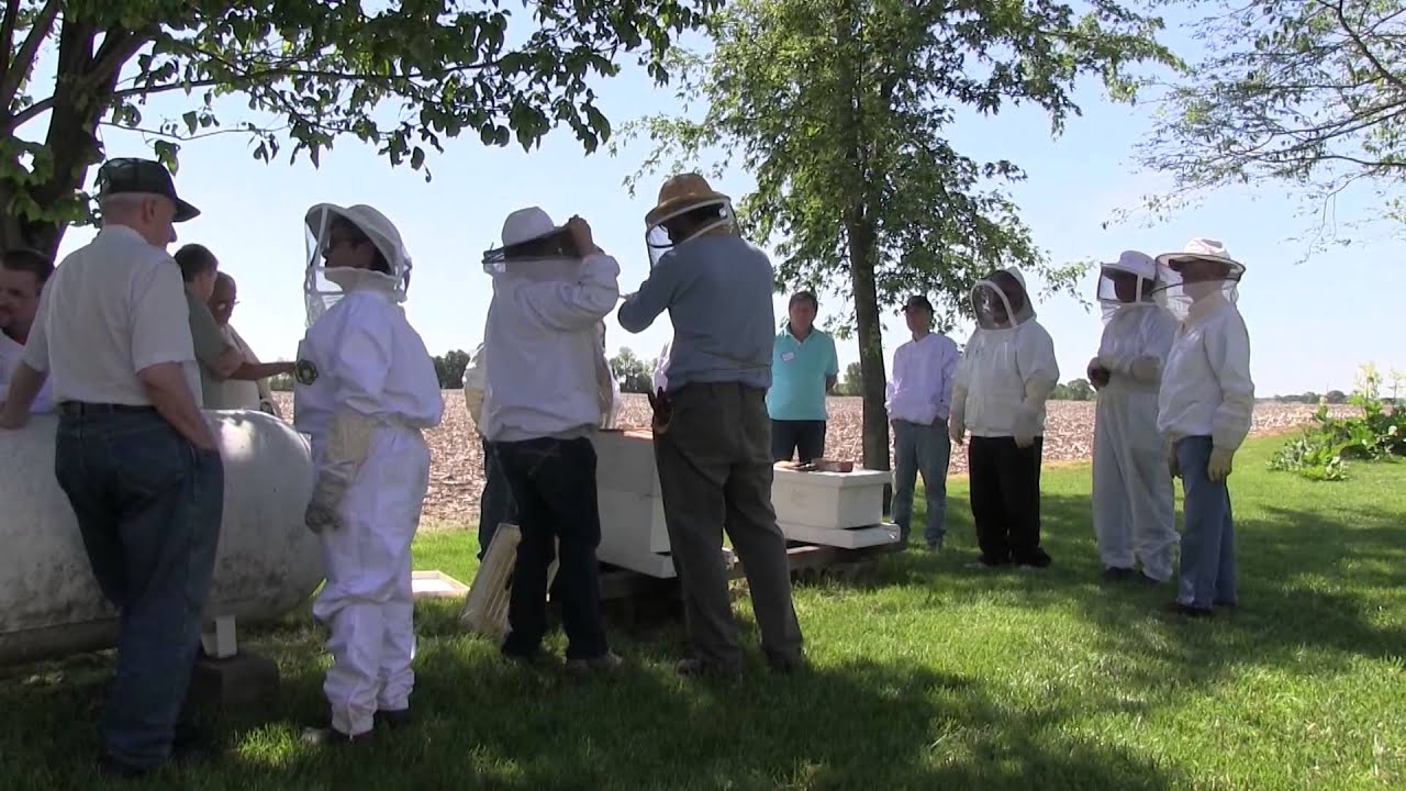 Indiana Beekeepers | NUVO 2014 | Good Vibes Media