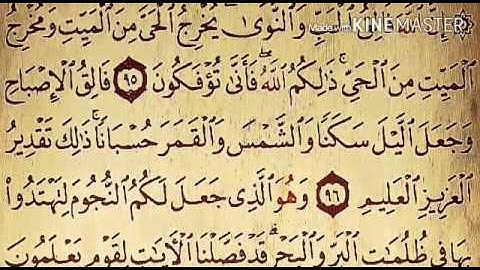 تلاوة بقراءةالإمام السوسي.د. عبد المعين محمد إكرام