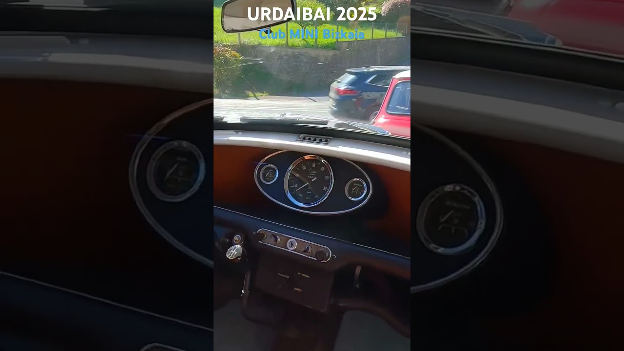 INNOCENTI MINI TRAVELLER 