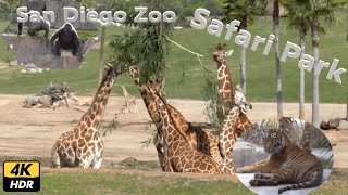 San Diego Zoo Safari Park  A rare opportunity to see the diverse wildlife of the African plains.