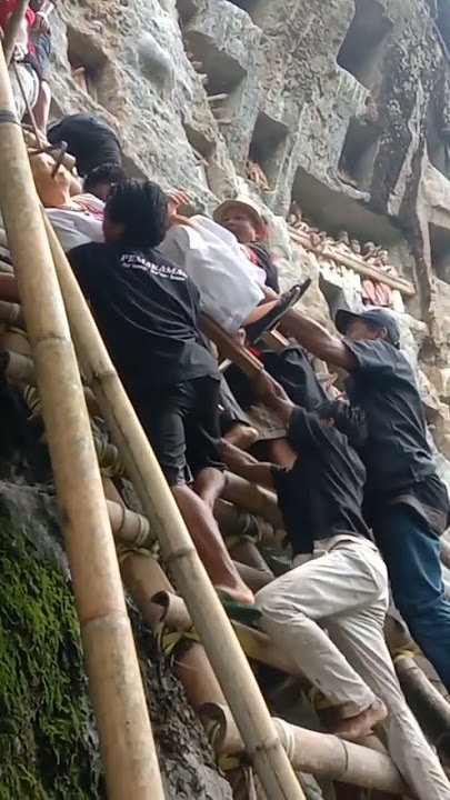 Cara Pemakaman Adat Toraja #adat #Suku #pemakaman #toraja #sulawesi #viral #trending #reels #shorts