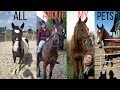 All About ALL of My Horses/Pets