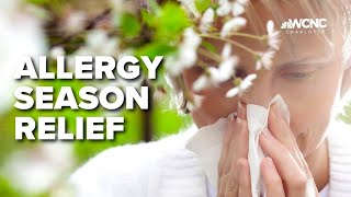 Allergy season continues, how to relieve symptoms
