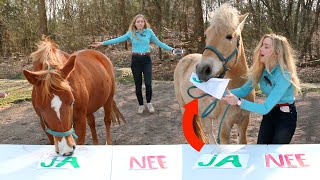 WORDEN MIJN PAARDEN GEK VAN MIJ? | Paard beantwoordt vragen #05