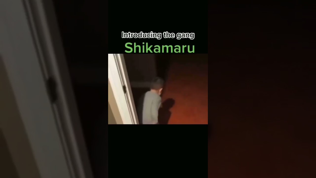 Introducing the gang of naruto😂😍❤️ 