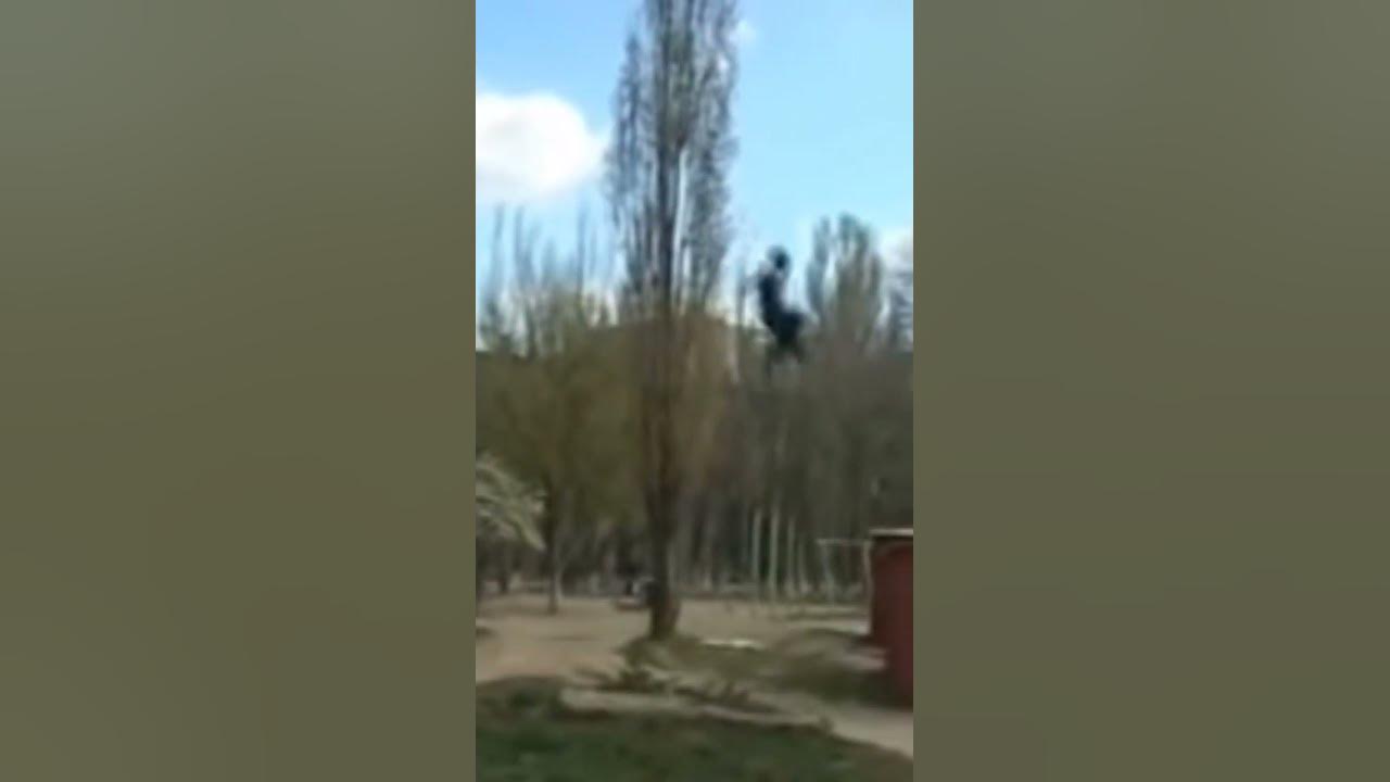 сасагео сасагео - YouTube