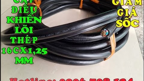 Cáp điều khiển cầu trục có lõi thép 16C x 1.25 mm, cáp điều khiển cho tay bấm cẩu trục