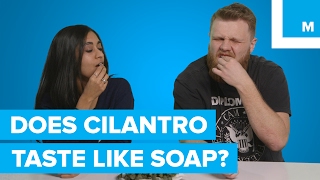 Why some people think cilantro tastes like soap