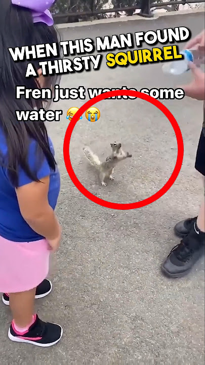 Kind-hearted Man Saves A Thirsty Squirrel From Hot Sun 🥵❤️