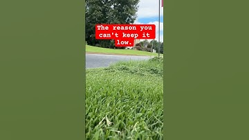 BermudaGrass turns Brown but you won