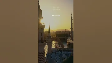 قلبي في المدينة ماهر زين بدون موسيقى 