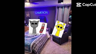 Video 338