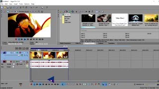 「Sony Vegas」AMV Different Track Coloring *HD* Tutorial!