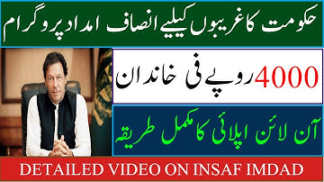 How to apply for Insaf Imdad Package Program approved by CM Punjab Usman Buzdar