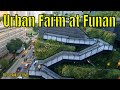 Walking tour urban farm at funan  by stanlig films